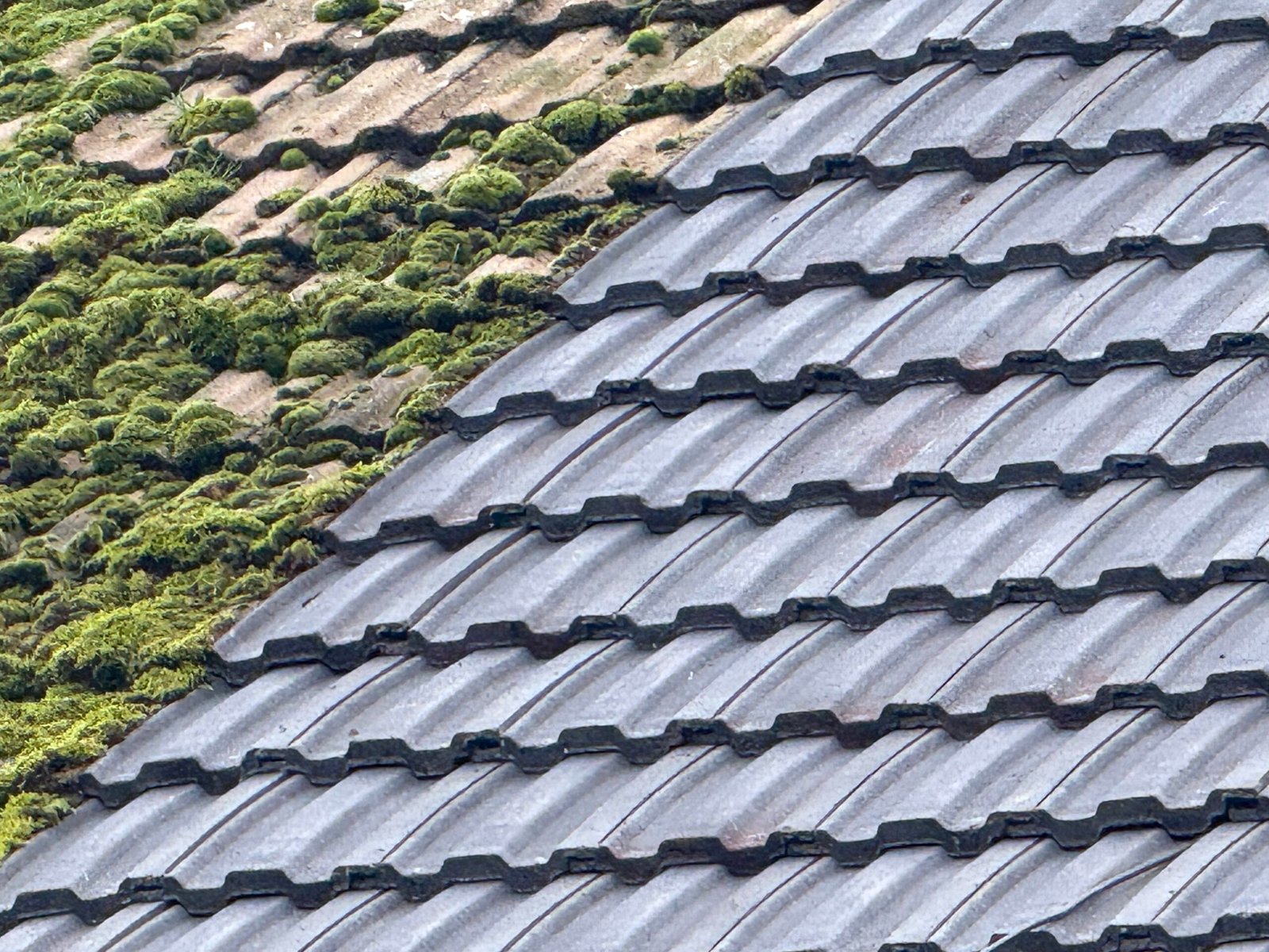 Roofing repairs colchester