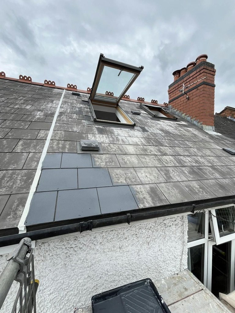 roof cleaning essex