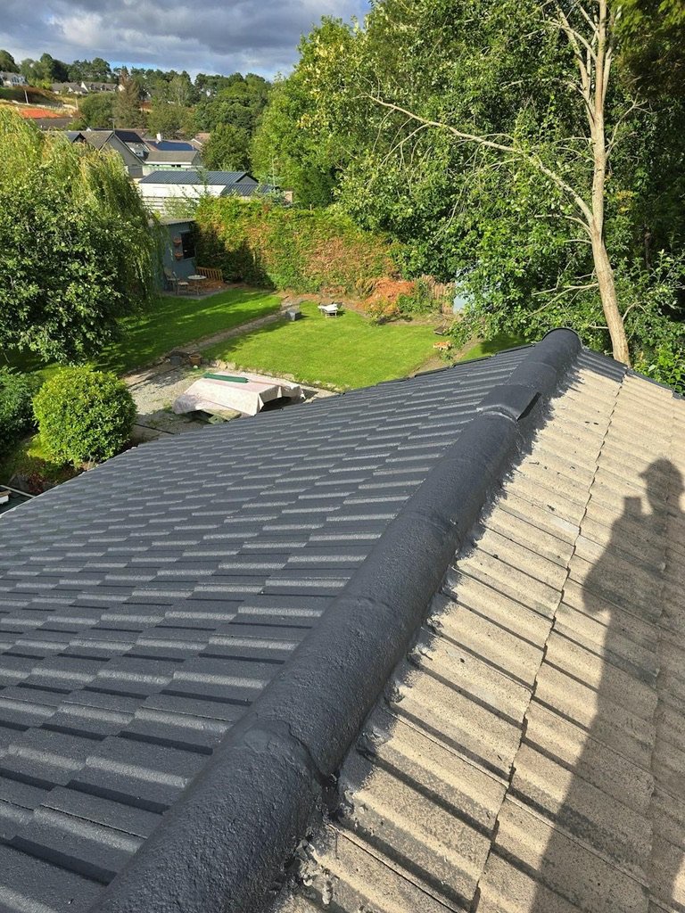 roof cleaning essex