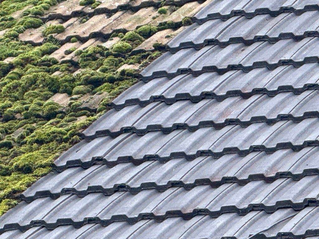 new roof halstead